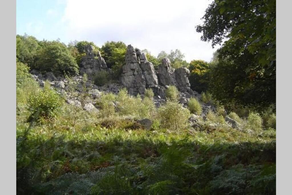 Vila L'Echappee Verte Ambiance Nature Et Foret Deville  Exteriér fotografie